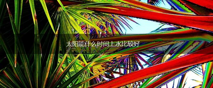 太阳能什么时间上水比较好,第1张
