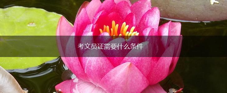 考文员证需要什么条件,第1张