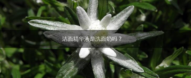 洁面精华液是洗面奶吗？,第1张
