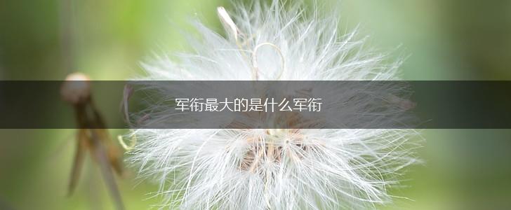 军衔最大的是什么军衔,第1张