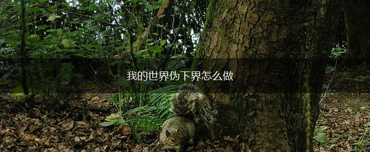 我的世界伪下界怎么做,第1张