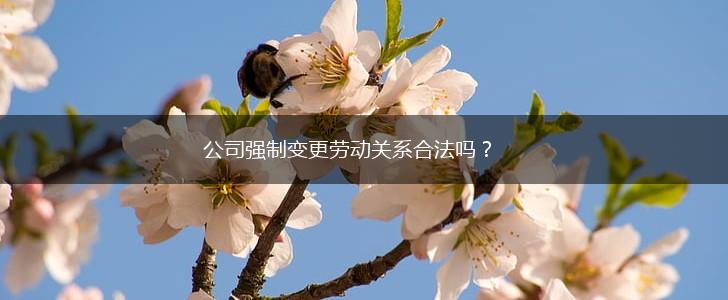 公司强制变更劳动关系合法吗？,第1张