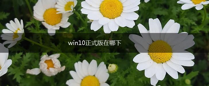 win10正式版在哪下,第1张
