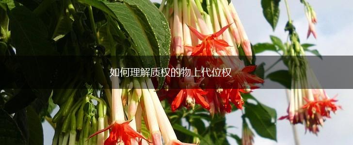 如何理解质权的物上代位权,第1张