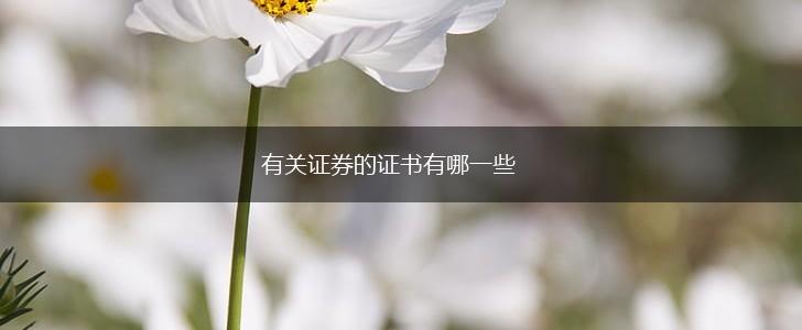 有关证券的证书有哪一些,第1张