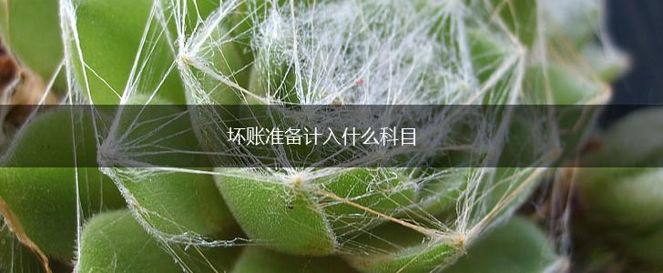 坏账准备计入什么科目,第1张