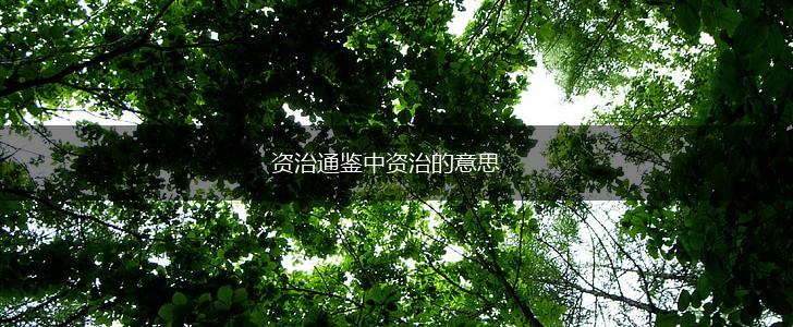 资治通鉴中资治的意思,第1张