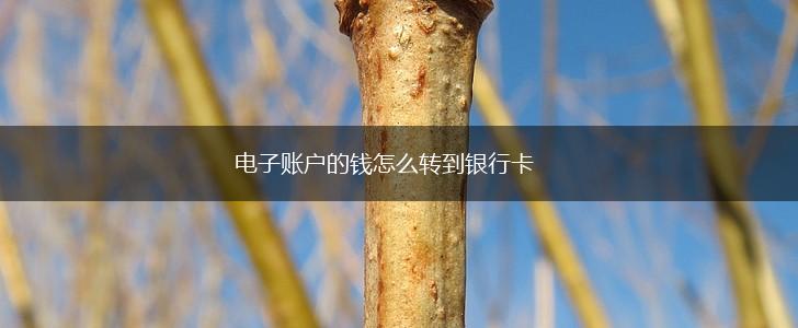 电子账户的钱怎么转到银行卡,第1张