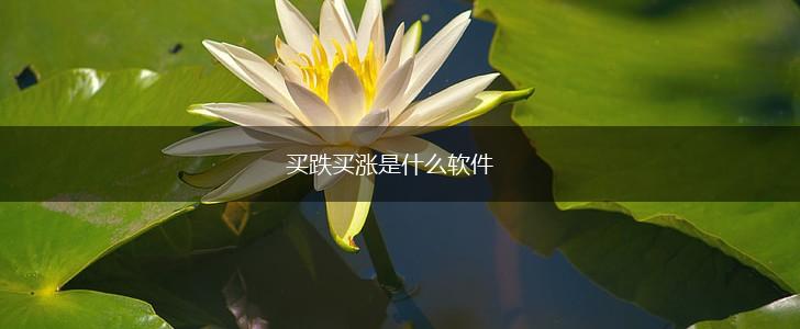 买跌买涨是什么软件,第1张
