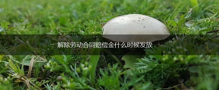 解除劳动合同赔偿金什么时候发放,第1张