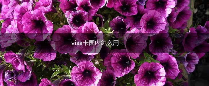 visa卡国内怎么用,第1张