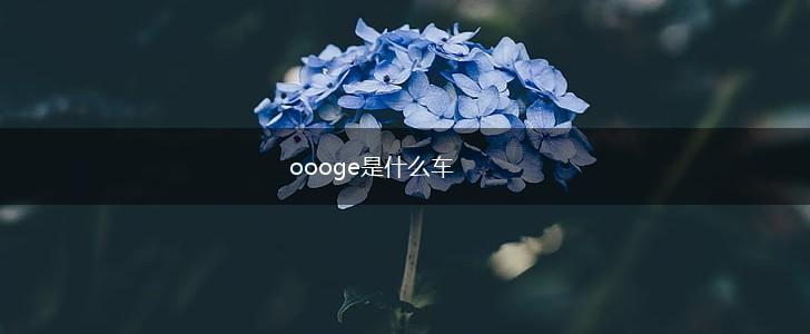 oooge是什么车,第1张