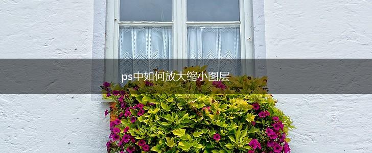 ps中如何放大缩小图层,第1张