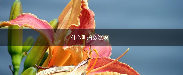什么叫指数涨幅,第1张