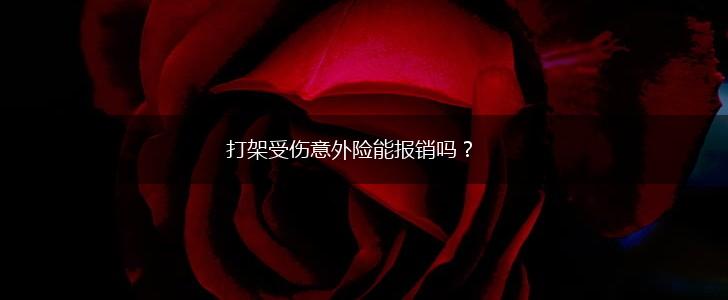 打架受伤意外险能报销吗？,第1张