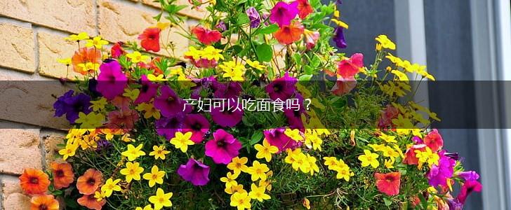 产妇可以吃面食吗？,第1张