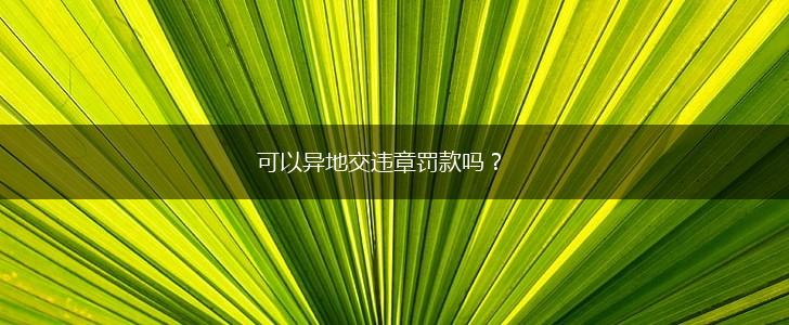 可以异地交违章罚款吗？,第1张