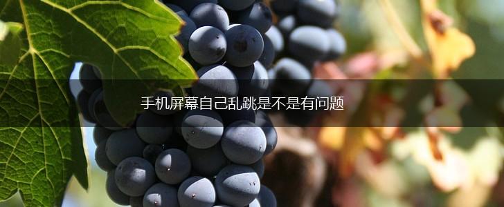 手机屏幕自己乱跳是不是有问题,第1张