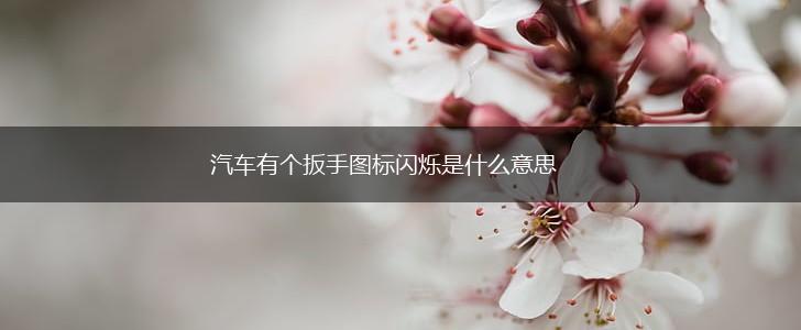 汽车有个扳手图标闪烁是什么意思,第1张