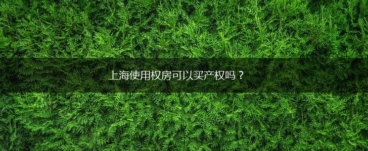 上海使用权房可以买产权吗？,第1张