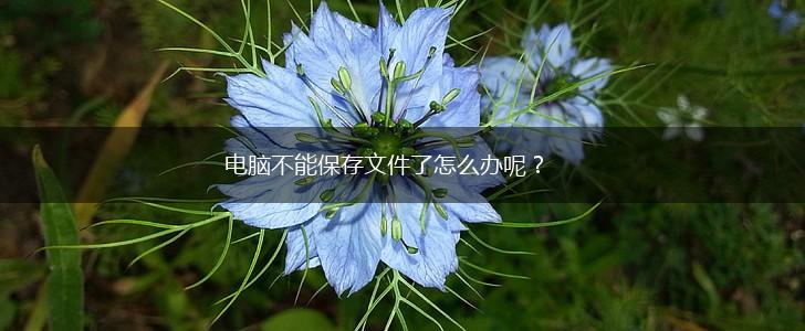 电脑不能保存文件了怎么办呢?,第1张 电脑不能保存文件了怎么办呢?,第1张