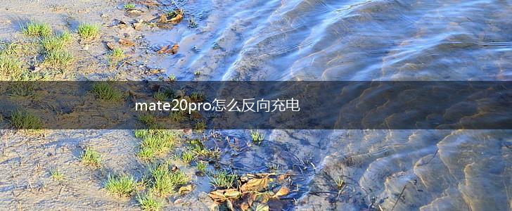 mate20pro怎么反向充电,第1张