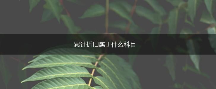 累计折旧属于什么科目,第1张