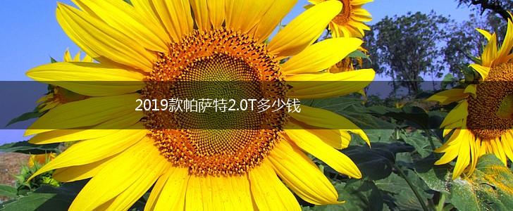 2019款帕萨特2.0T多少钱,第1张
