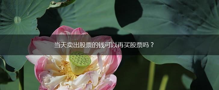 当天卖出股票的钱可以再买股票吗？,第1张