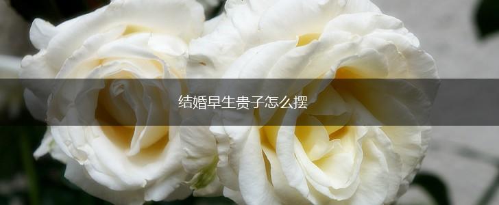 结婚早生贵子怎么摆,第1张