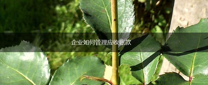企业如何管理应收账款,第1张