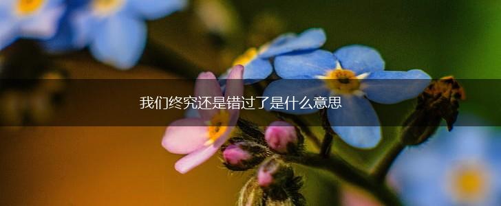 我们终究还是错过了是什么意思,第1张
