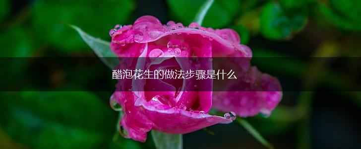 醋泡花生的做法步骤是什么,第1张