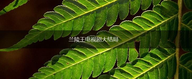 兰陵王电视剧大结局,第1张