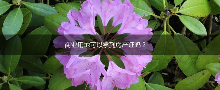 商业用地可以拿到房产证吗？,第1张