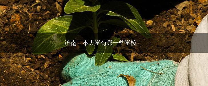 济南二本大学有哪一些学校,第1张