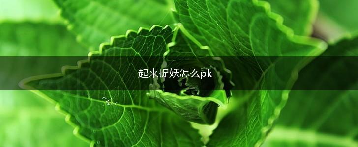 一起来捉妖怎么pk,第1张