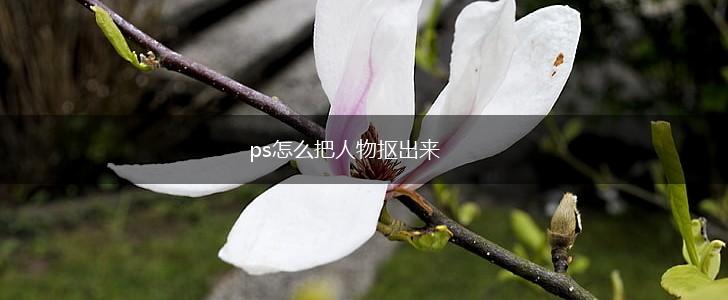 ps怎么把人物抠出来,第1张
