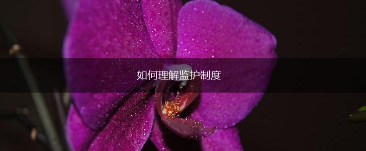 如何理解监护制度,第1张