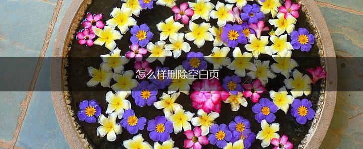 怎么样删除空白页,第1张