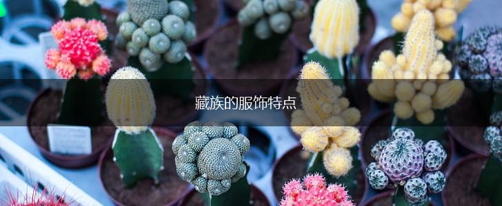 藏族的服饰特点,第1张