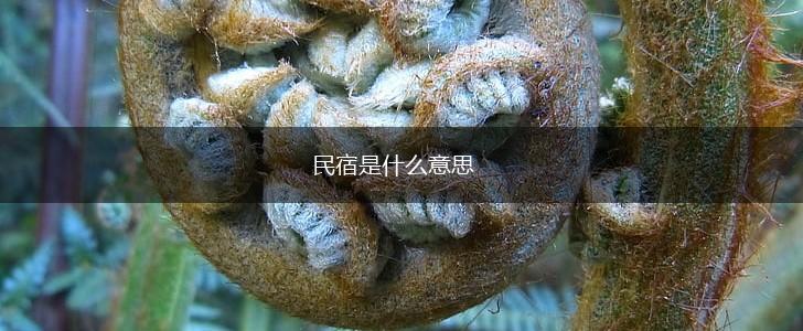 民宿是什么意思,第1张