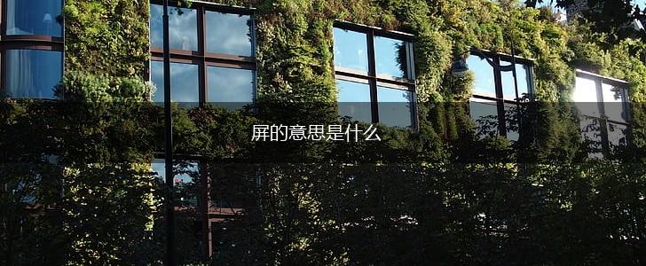 屏的意思是什么,第1张