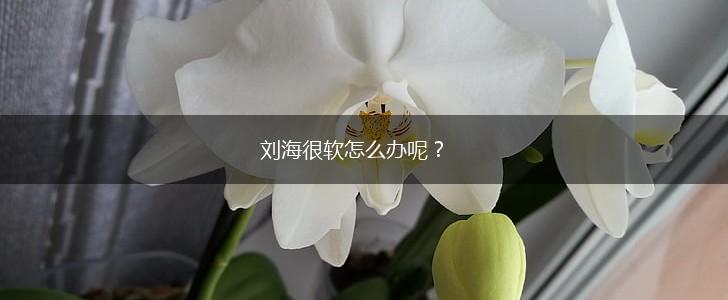 刘海很软怎么办呢？,第1张