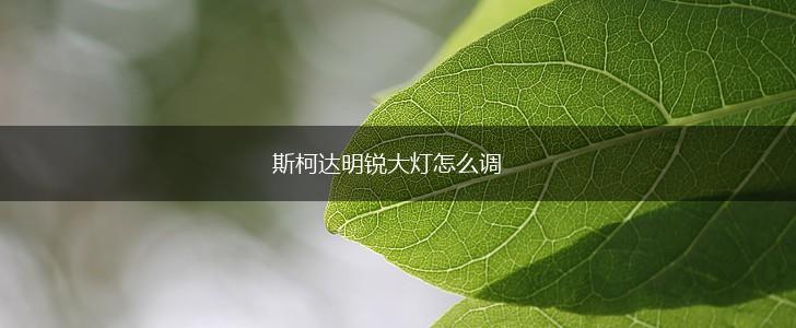斯柯达明锐大灯怎么调,第1张