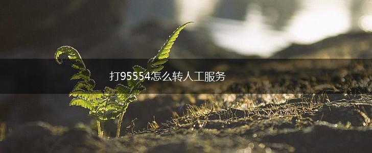 打95554怎么转人工服务,第1张 打95554怎么转人工服务,第1张