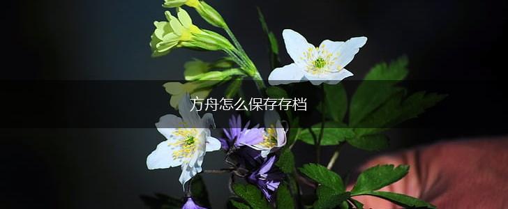 方舟怎么保存存档,第1张