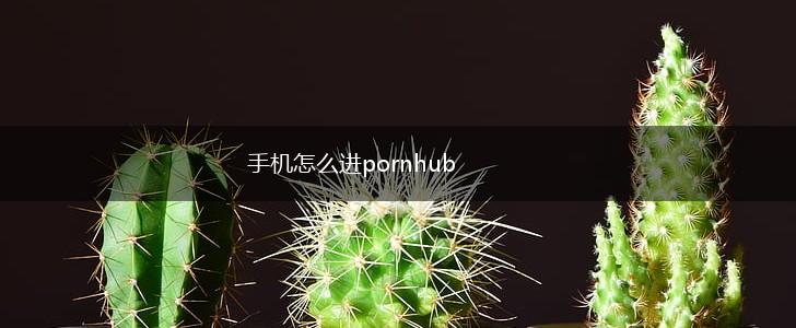 手机怎么进pornhub,第1张