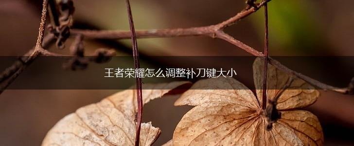 王者荣耀怎么调整补刀键大小,第1张