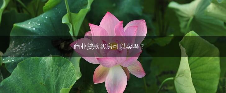 商业贷款买房可以卖吗？,第1张